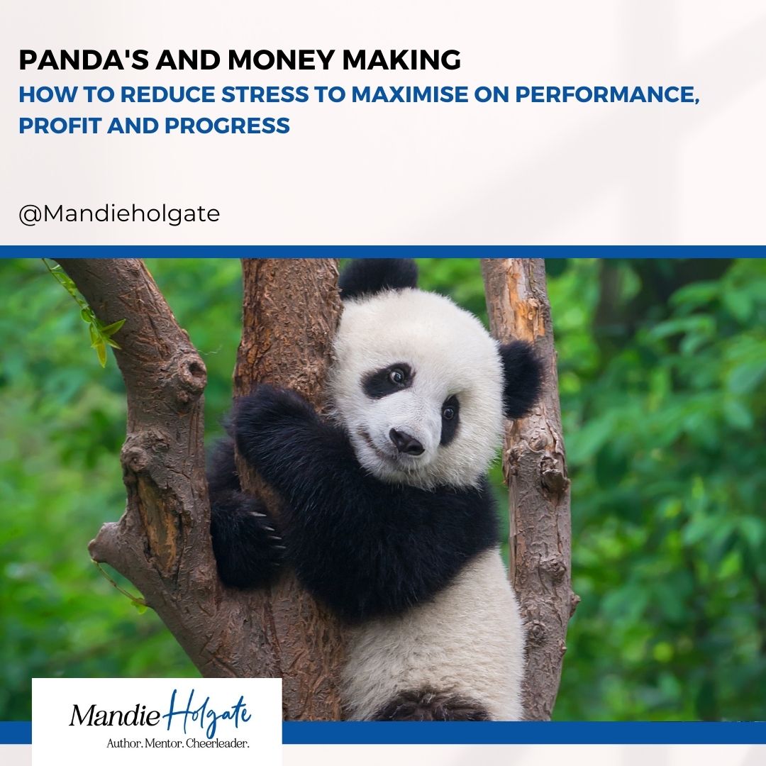 Panda’s and money making – what impacts on business success