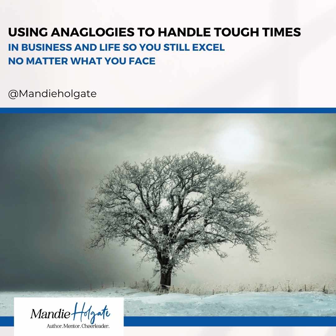 How to use analogies when you face too much in business and life